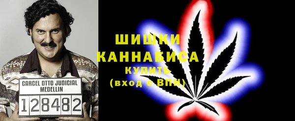 прущая мука Козловка