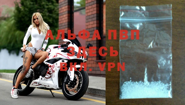 spice Козельск
