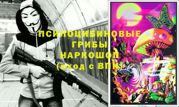 spice Козельск