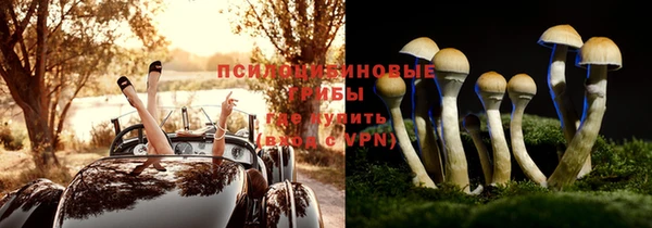 прущая мука Козловка