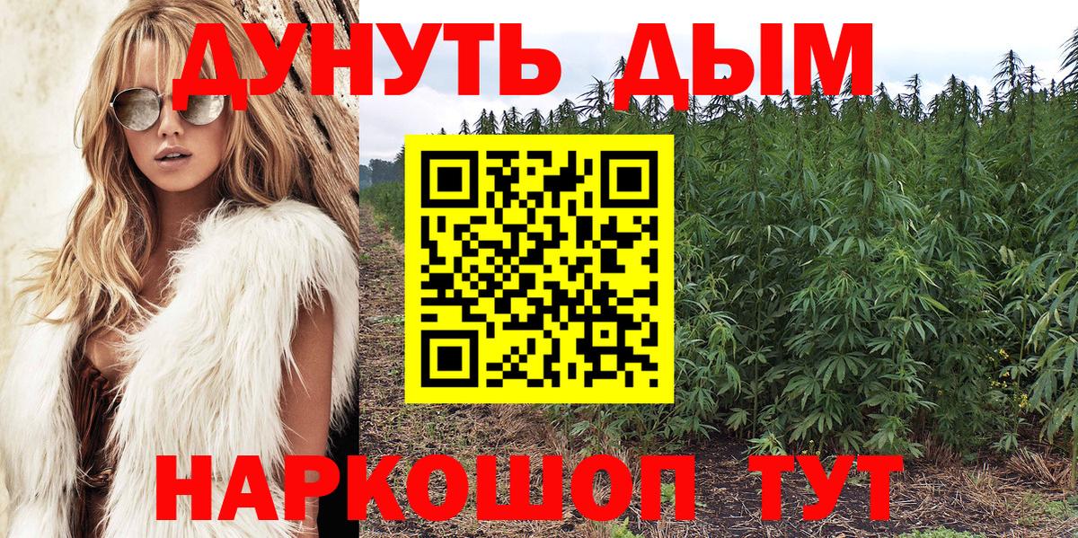 Бошки Шишки White Widow  Канабис план  Вход с VPN  Канабис OG Kush  Керчь  Бошки Шишки ГИДРОПОН 